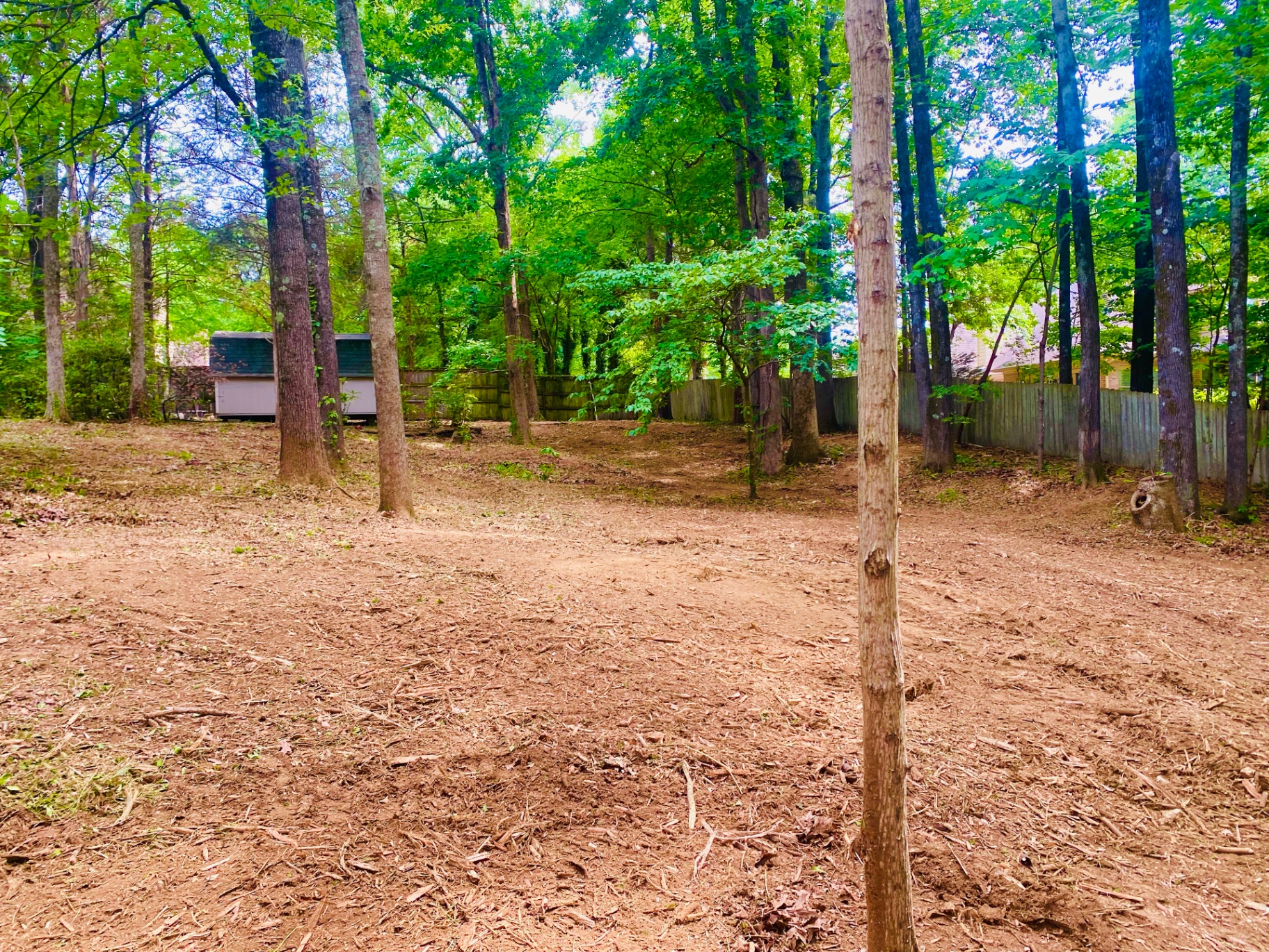 Cleared land after forestry mulching service in West Tennessee